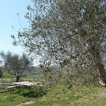Agriturismo Il Merollo Hotel Todi Exterior photo