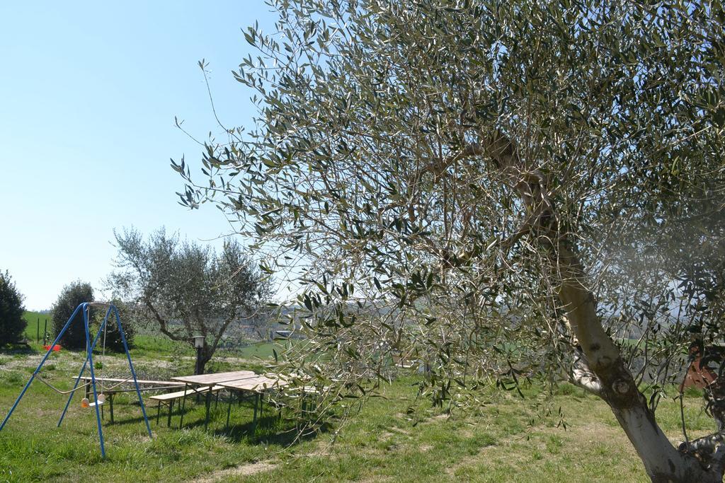 Agriturismo Il Merollo Hotel Todi Exterior photo