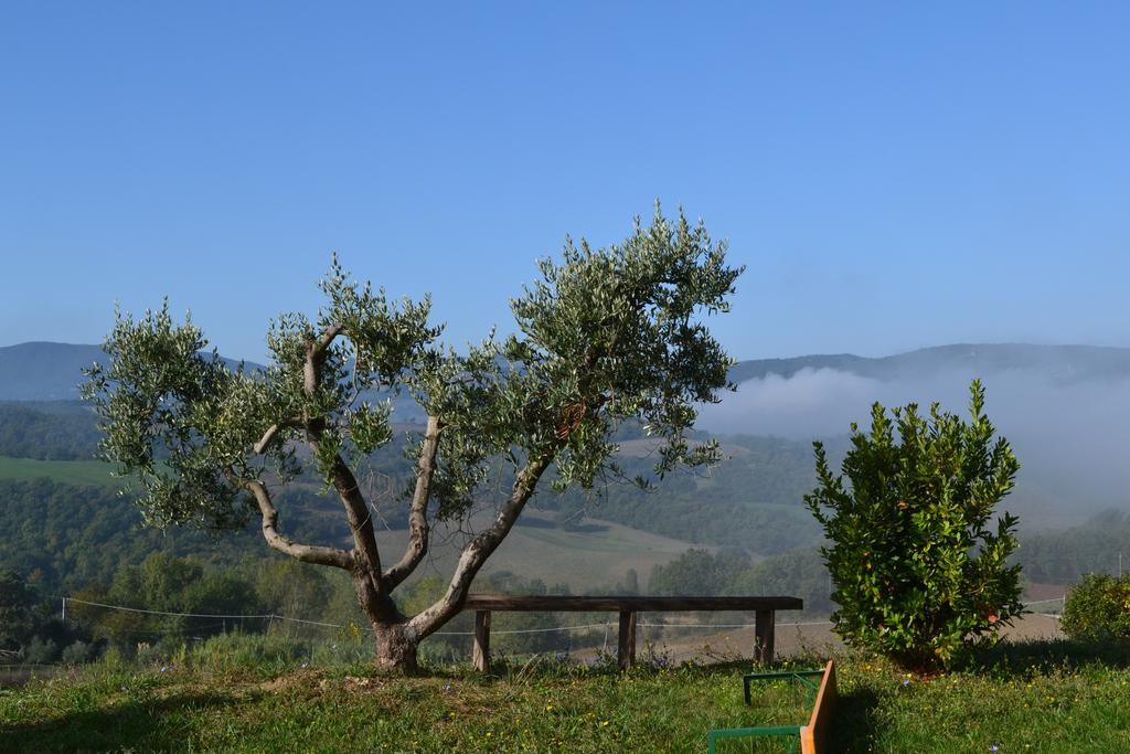 Agriturismo Il Merollo Hotel Todi Exterior photo